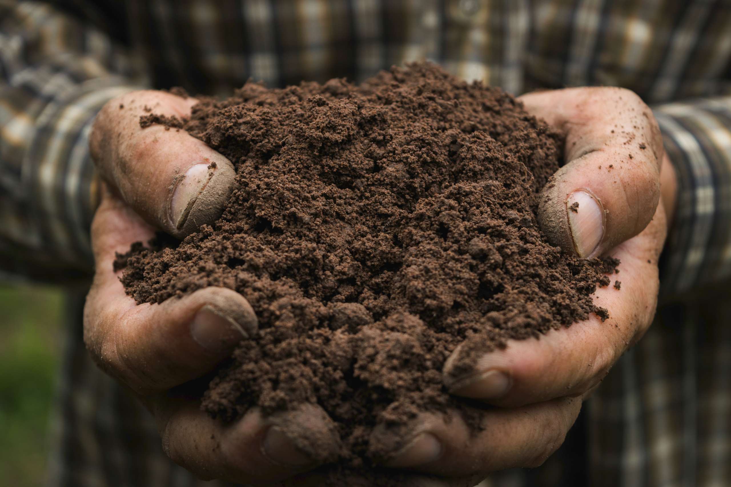 Dirt vs. Soil + Rich Soil Recipe Gary's Garden Center