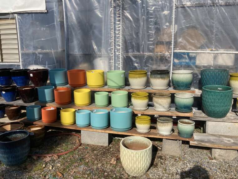 Assorted colors of pottery