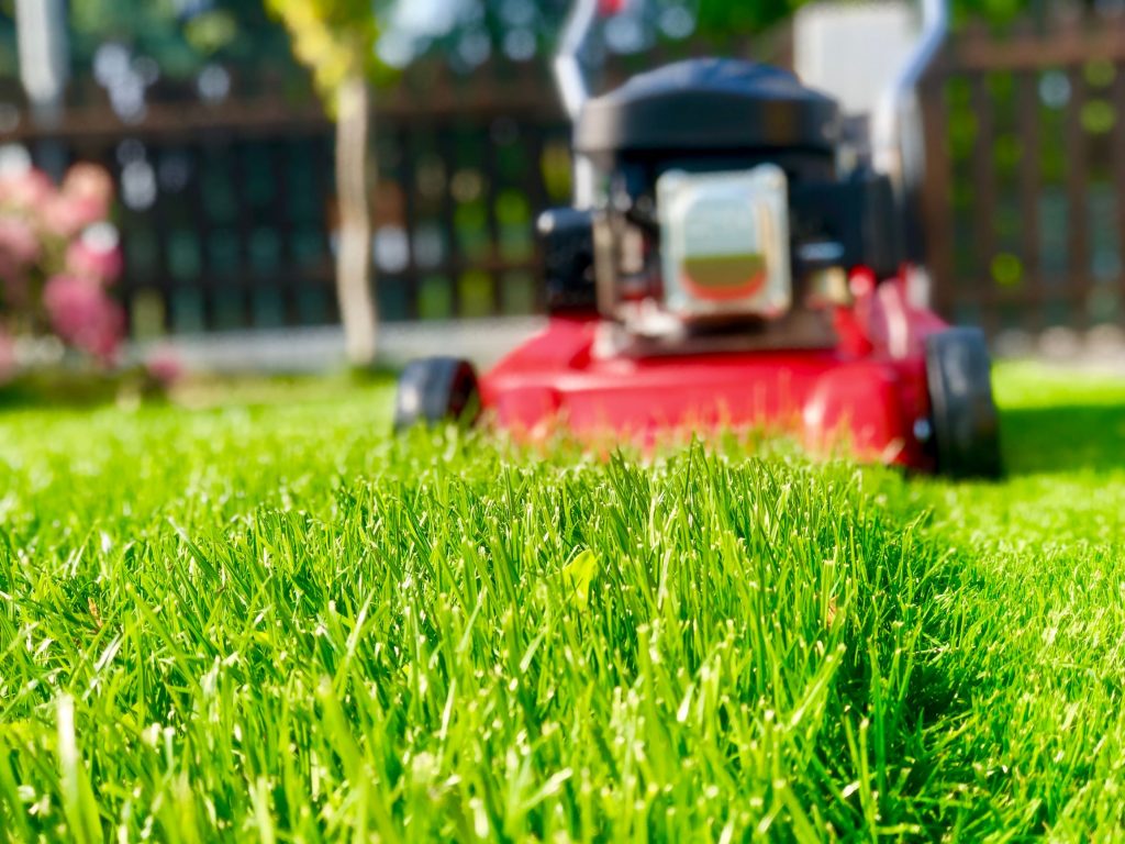 Best day to online mow lawn