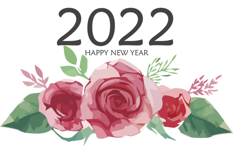 Reflections on 2021 –  Excitement for 2022