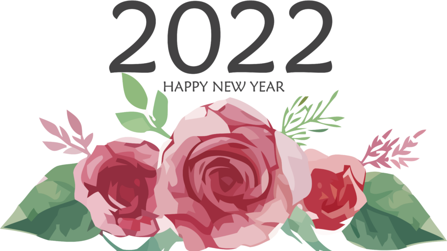 Reflections on 2021 –  Excitement for 2022
