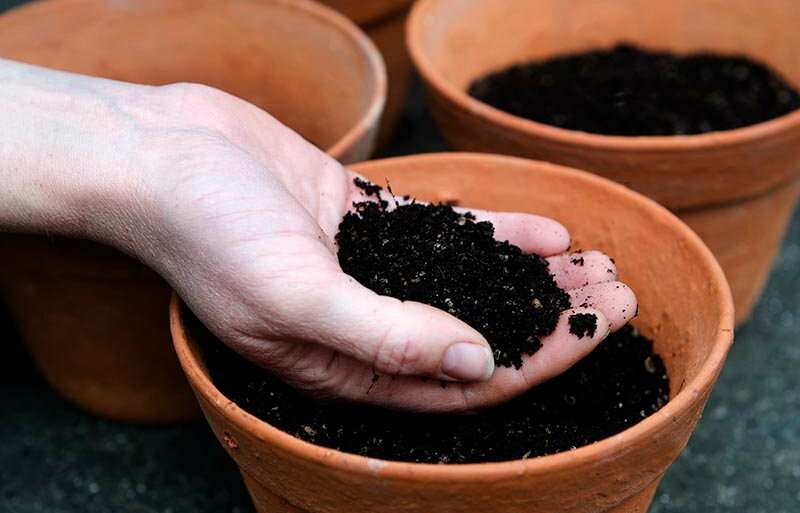 Can potting soil be reused?